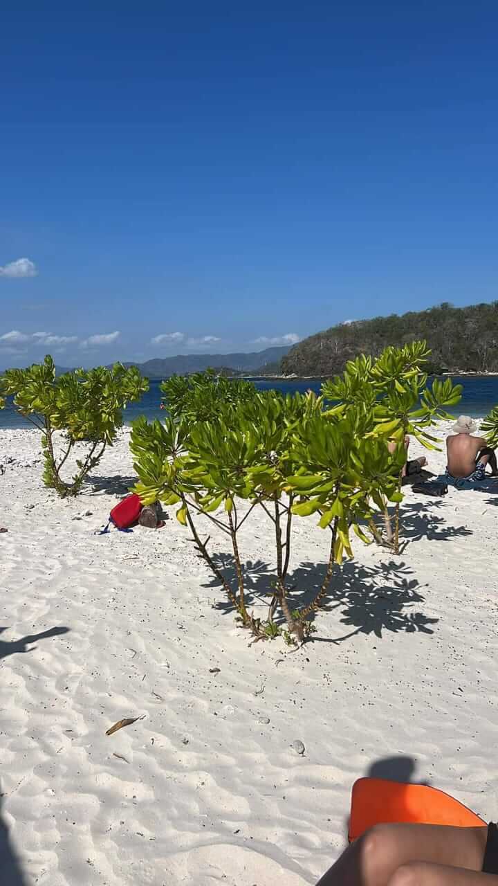 Gili Nanggu 해변 사진
