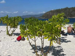 Gili Nanggu 해변 사진